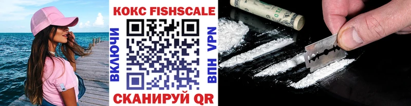 Купить закладки  Козьмодемьянск  Cocaine FishScale 