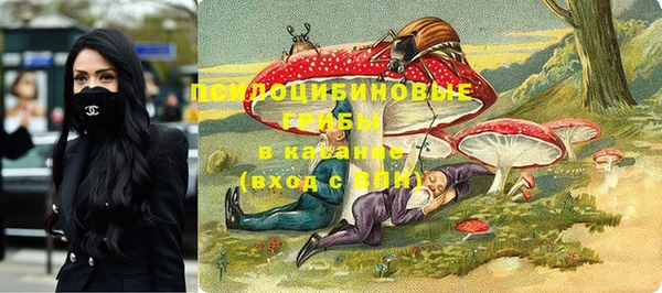 дмт Елабуга
