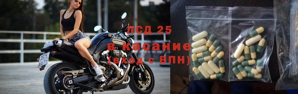 мдпв Елизово