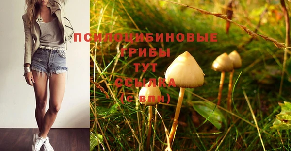 кристаллы Ельня