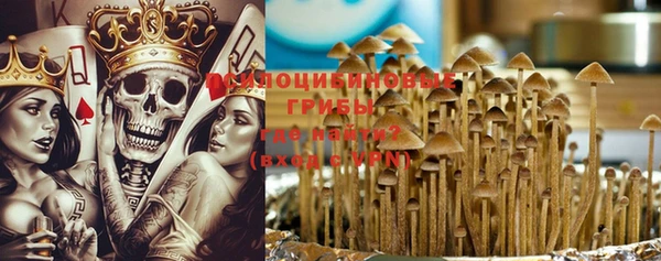 мдпв Елизово