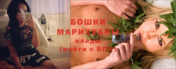 мдпв Елизово