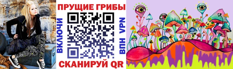 Галлюциногенные грибы Magic Shrooms  Купить закладки  Козьмодемьянск 